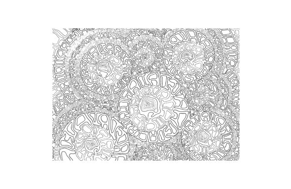 Sketches by Laura Ketting