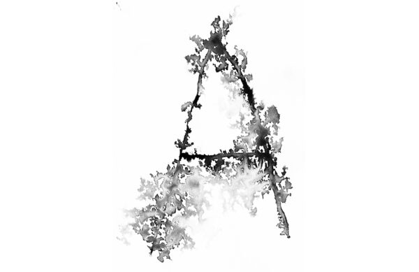 Watertype by Laura Ketting